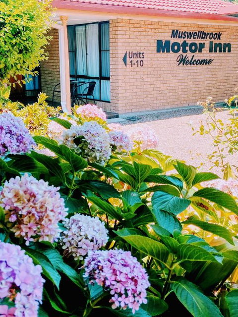 Muswellbrook Motor Inn - Northern Rivers Accommodation 0