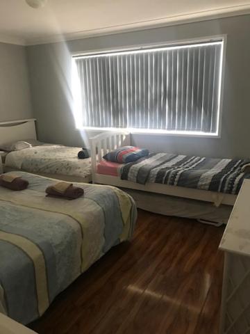 Mystic Blue And Green Meadow - Northern Rivers Accommodation 3