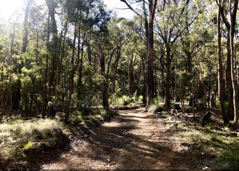 Northfield Boutique Apartments - Northern Rivers Accommodation 1