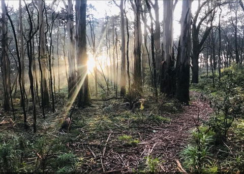 Northfield Boutique Apartments - Northern Rivers Accommodation 2