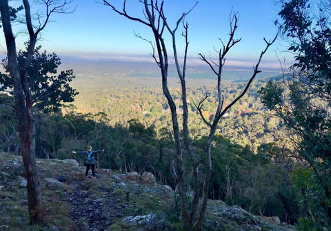 Northfield Boutique Apartments - Northern Rivers Accommodation 3