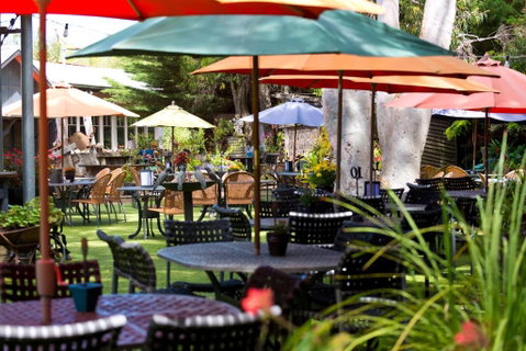 Oakdene Vineyards Guesthouse - Northern Rivers Accommodation 0