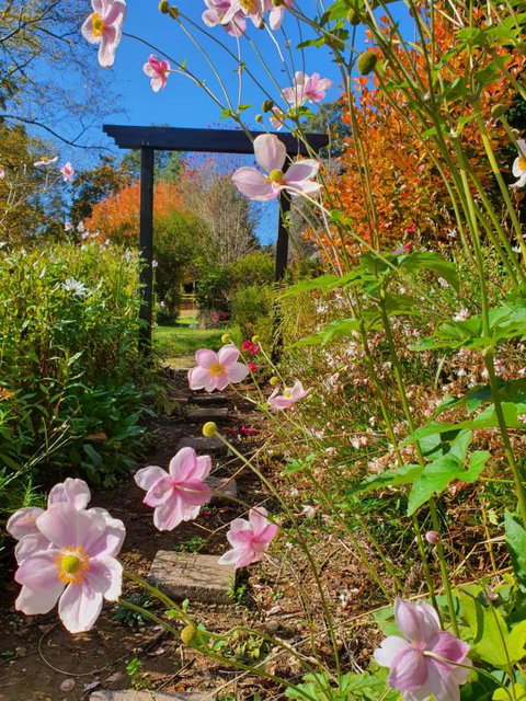 Oaktree Guest House - Northern Rivers Accommodation 3