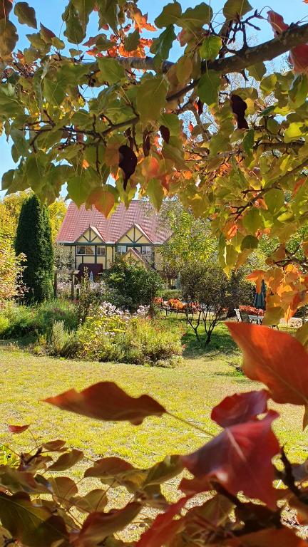 Oaktree Guest House - Northern Rivers Accommodation 0