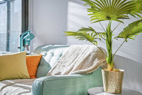 One Bedroom Apartment In The Heart Of CBD - Northern Rivers Accommodation 3