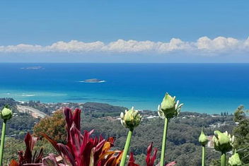 ON TOP Of THE WORLD Garden Studio with Northern Rivers Accommodation