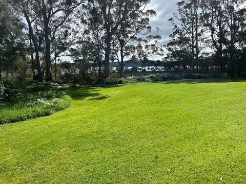 Peacock - Northern Rivers Accommodation 0