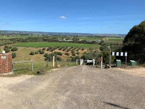 Pedlar Creek Tiny House By Tiny Away - Northern Rivers Accommodation 2