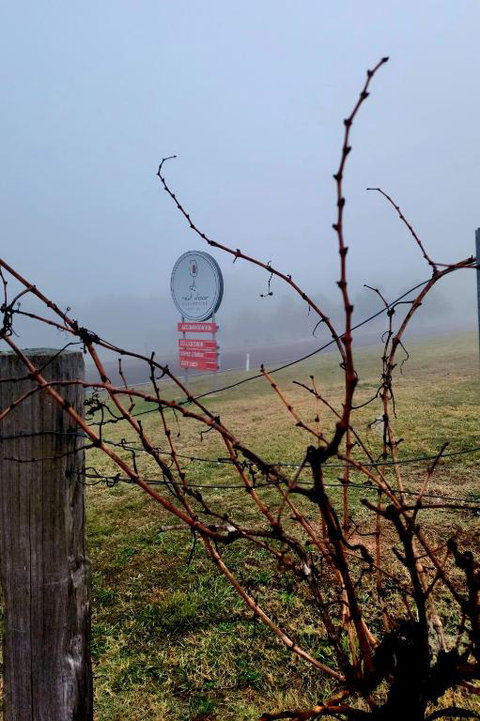 Red Door Collective - RDC Vineyard Estate, Luxury Adult Only Stay - Northern Rivers Accommodation 3