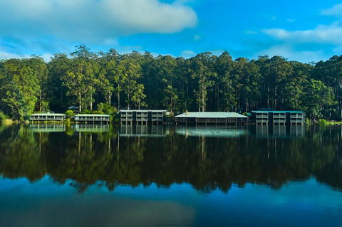 RAC Karri Valley Resort - Northern Rivers Accommodation 2