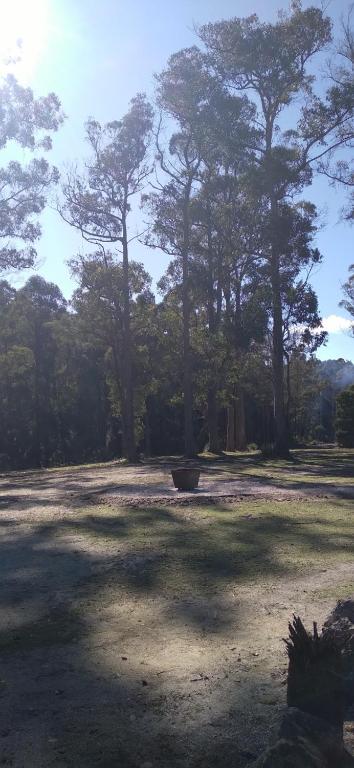 Rail Trail Retreat - Northern Rivers Accommodation 2