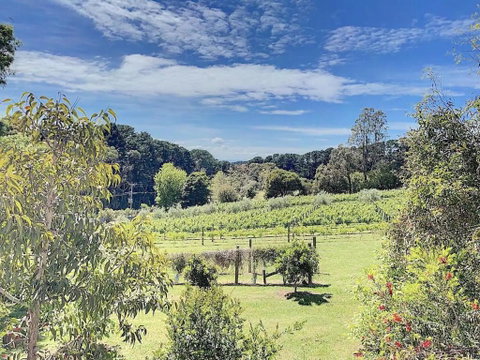 Red Hill Lane 5BedroomVineyard&RuralValleyViews - Northern Rivers Accommodation 3