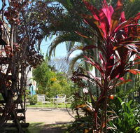 Asylum Cairns Hostel - Northern Rivers Accommodation