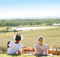 Audrey Wilkinson Vineyard - Northern Rivers Accommodation