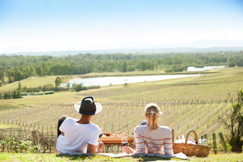 Audrey Wilkinson Vineyard - Northern Rivers Accommodation 0
