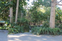 Book Macclesfield Accommodation Vacations Northern Rivers Accommodation Northern Rivers Accommodation