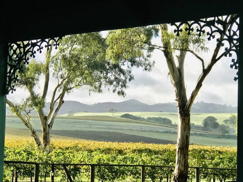 Azalea Cedar-Rose Barossa Valley Villa - Northern Rivers Accommodation 1