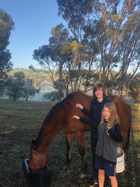 Balinga Cottages - Northern Rivers Accommodation 3