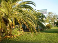 Book Winton Accommodation Vacations Northern Rivers Accommodation Northern Rivers Accommodation