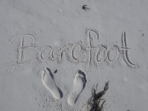 Barefoot Beach House - Northern Rivers Accommodation 0