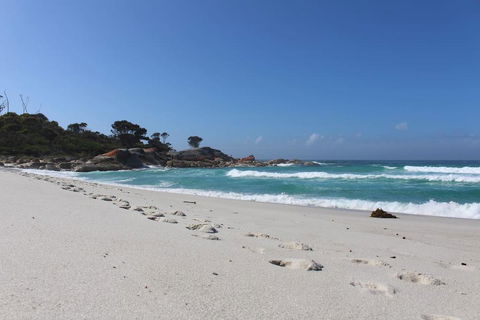 Barefoot Beach House - Northern Rivers Accommodation 1