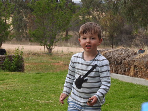 Barklysuites Apartments - Northern Rivers Accommodation 1