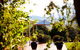 Barrington River House - thumb 2