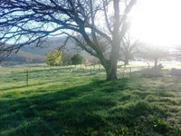 Book Mongans Bridge Accommodation Vacations Northern Rivers Accommodation Northern Rivers Accommodation