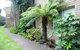 Beachfront Apartments - thumb 0