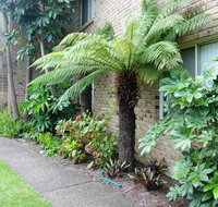 Beachfront Apartments - Northern Rivers Accommodation