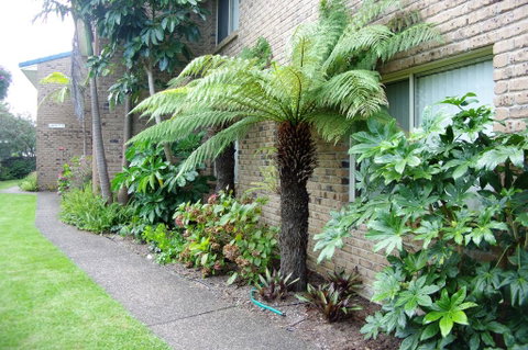 Beachfront Apartments - Northern Rivers Accommodation 0