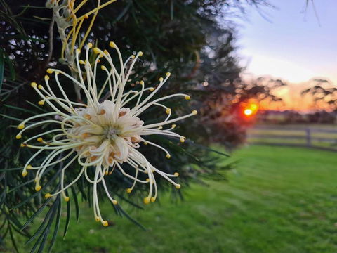 Redgate Forest Retreat - Northern Rivers Accommodation 1
