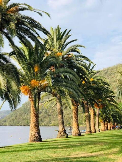 Riva On The Hawkesbury - Northern Rivers Accommodation 0