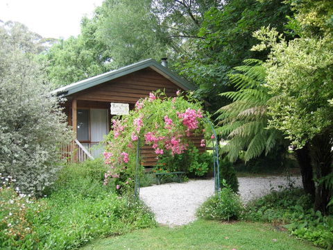 RiverCottage-selfcontained - Northern Rivers Accommodation 0