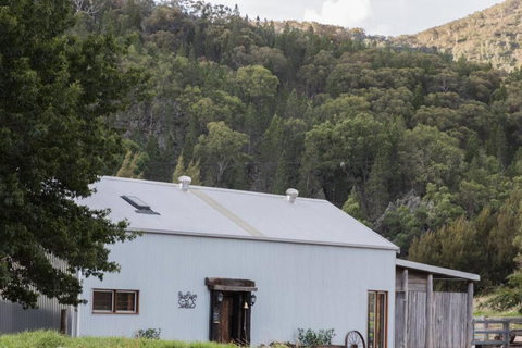 Riverlea Stables- Style And Charm Await You! - Northern Rivers Accommodation 2