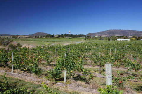 Riversdale Estate Cottages - Northern Rivers Accommodation 1