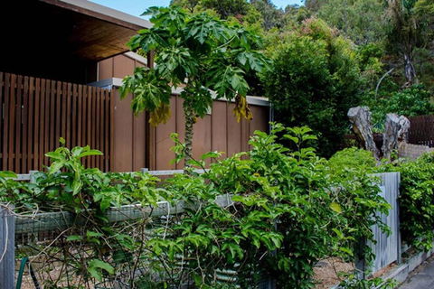 Sand Dweller Holiday Villa Point Lookout - Northern Rivers Accommodation 1