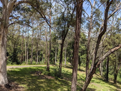 Romantic Cabin Escapes Barrington Tops - Lorikeet - Northern Rivers Accommodation 1