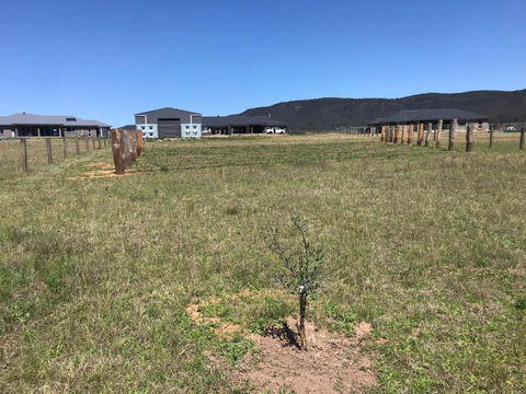 Rosehill Vines - Northern Rivers Accommodation 3