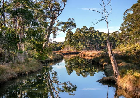 Saintys Creek Cottage - Northern Rivers Accommodation 3