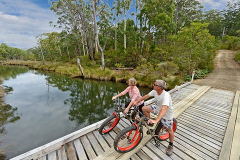 Saintys Creek Cottage - Northern Rivers Accommodation 2