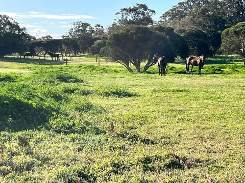 Secluded Rural Retreat In Southwest WA - Northern Rivers Accommodation 3