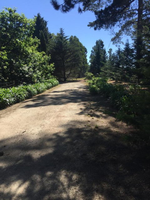 Sherwood Park Bed And Breakfast - Northern Rivers Accommodation 3