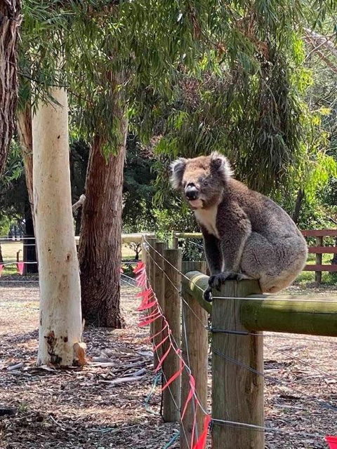 Sherwood Park Bed And Breakfast - Northern Rivers Accommodation 1