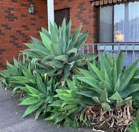Beautiful Bedroom in Bentleigh East - Northern Rivers Accommodation