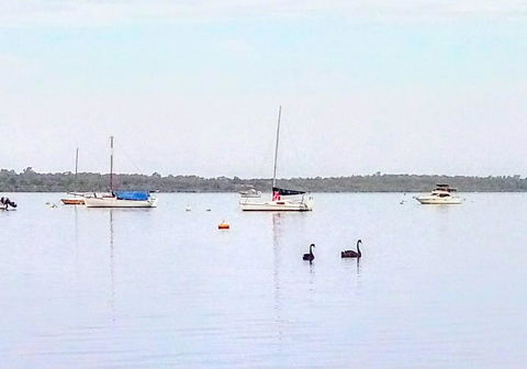 Beautiful, Peaceful Estuary Views, Five Star Quantity - Northern Rivers Accommodation 3