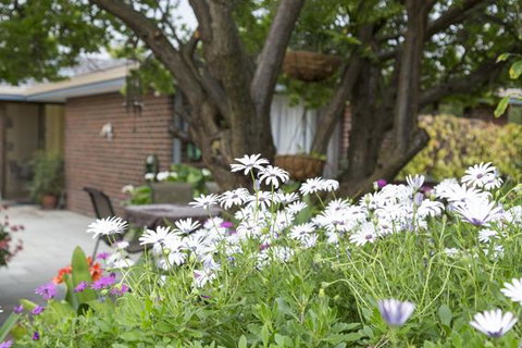 Bed And Breakfast In Perth - Northern Rivers Accommodation 1