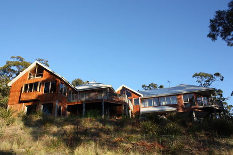 Bed In The Treetops B&B - Northern Rivers Accommodation 1