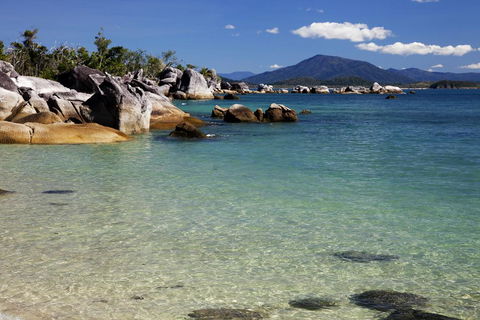 Bedarra Beach House - Northern Rivers Accommodation 3