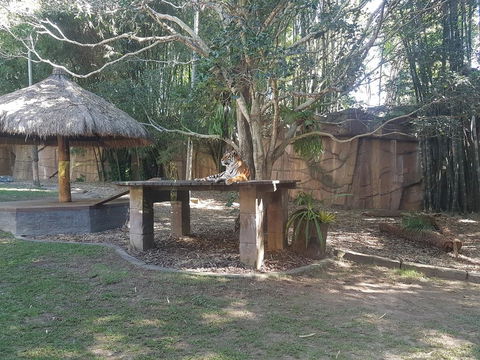 Beerwah House - Northern Rivers Accommodation 3